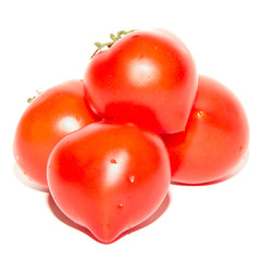 Tomatoes isolated on white background
