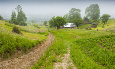 Fototapeta na wymiar Haymaking in a Carpathian village.