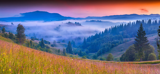 Obraz na płótnie Canvas Foggy summer morning in the Carpathian mountains.