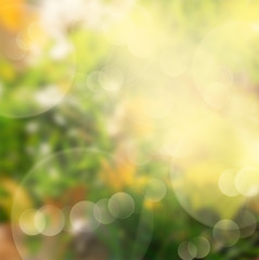 green and yellow bokeh background