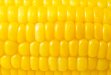 corn background, macro closeup