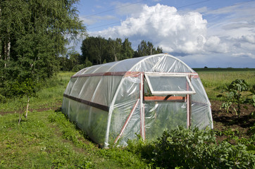 greenhouse hothouse in summer farm garden
