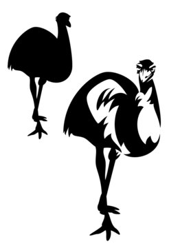 emu ostrich black and white outline