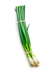 fresh spring onion