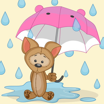 Dog with umbrella