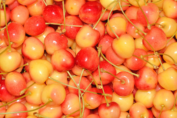 Yellow cherries background