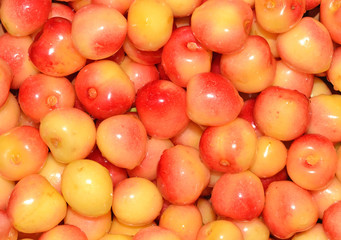Yellow cherries background
