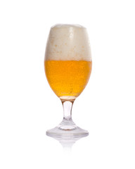 Beer Glass isolated on white