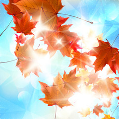 Naklejka na ściany i meble Abstract autumn illustration with maple Leaves.