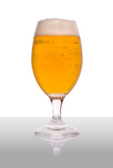 Beer Glass with reflection