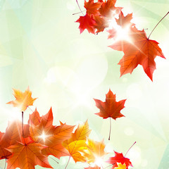 Naklejka na ściany i meble Abstract autumn illustration with maple Leaves.