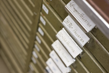 Schriftsatz Helvetica