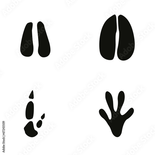 kangaroo footprints clip art - photo #16