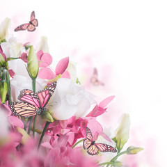 Bouquet of white and pink roses, butterfly. Floral background.