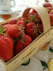 Erdbeeren im Korb