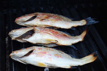 Three Fresh Whole Snapper Fish on a Grill