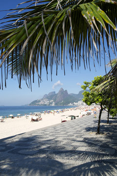 Ipanema Beach Rio de Janeiro Arpoador Palm Tree