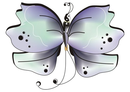 Farfalla pace