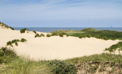 Fototapeta na wymiar Sand dunes and grasses at Formby beach near Liverpool UK