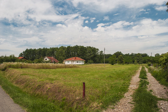 Path Between Farmland