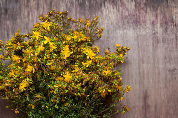 Hypericum perforatum