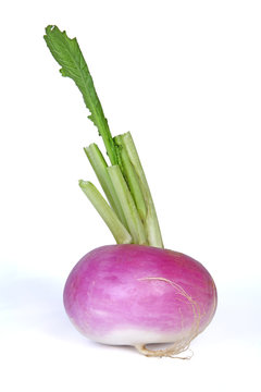 navet