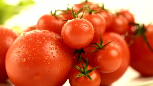 Pomodoro fresco