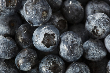 Fresh Organic Raw Blueberries