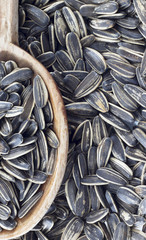 Sunflower seed in wooden spoon.