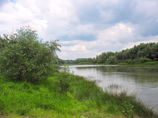 Fototapeta na wymiar Summer landscape with a calm river