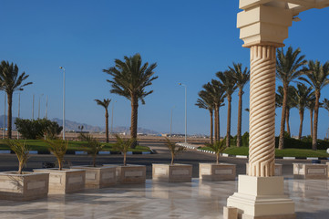 Fototapeta na wymiar beautiful marble column on a background of palm trees