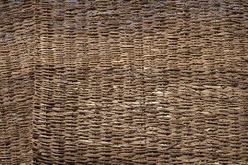 Obraz premium wood texture with intertwined branches