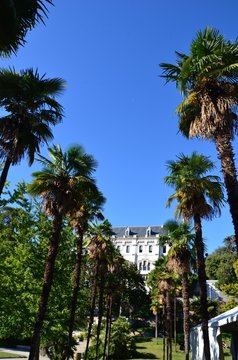 Parc de Valrose, Nice