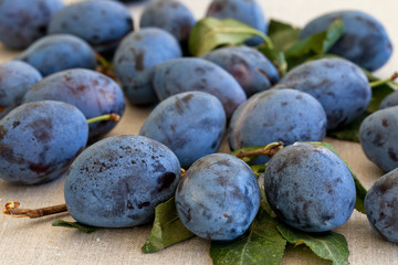 Fresh plums