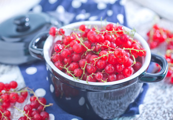 red currant