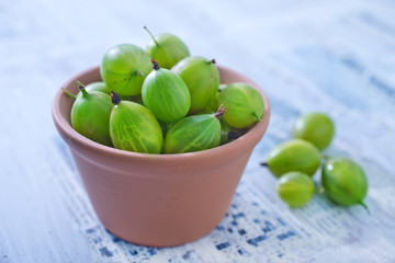 gooseberry