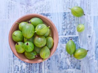 gooseberry