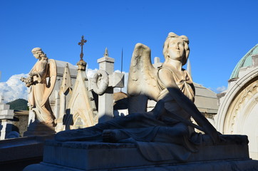 Obraz premium Cimetière de Cimiez, Nice