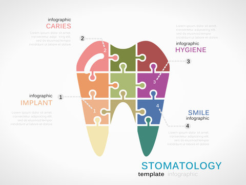 Stomatology concept infographic template with tooth