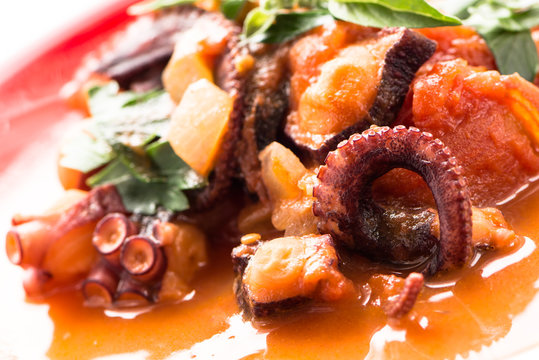 Geschmorrter Krake in Tomatensauce