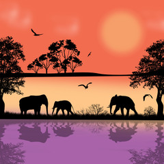 Fototapeta na wymiar Elephants silhouette in africa