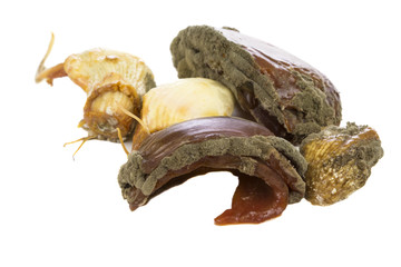 moldy garlic and onion