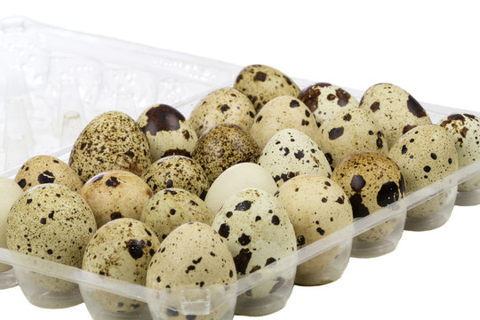 Quail eggs