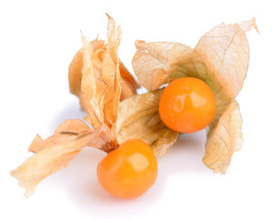 Physalis fruit, isolated on white