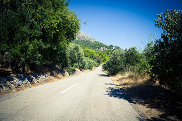 Sad oliwny © fototc