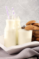 Milk and cookies on table on light grey background