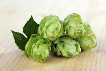 Fresh green hops, on wooden background