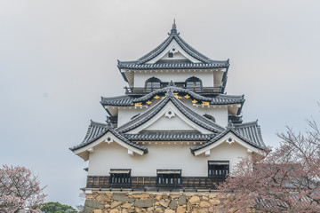 春の彦根城の天守閣