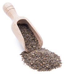 Shovel of Flaxseed