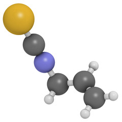 Allyl isothiocyanate mustard pungency molecule. 